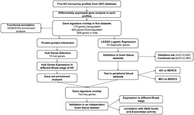 Exploring the Key Genes and Identification of Potential Diagnosis Biomarkers in Alzheimer’s Disease Using Bioinformatics Analysis